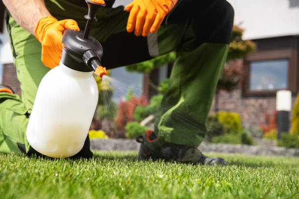 Best Best Pest Control Companies  in Giddings, TX