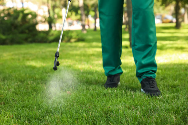Best Pest Prevention Services  in Giddings, TX
