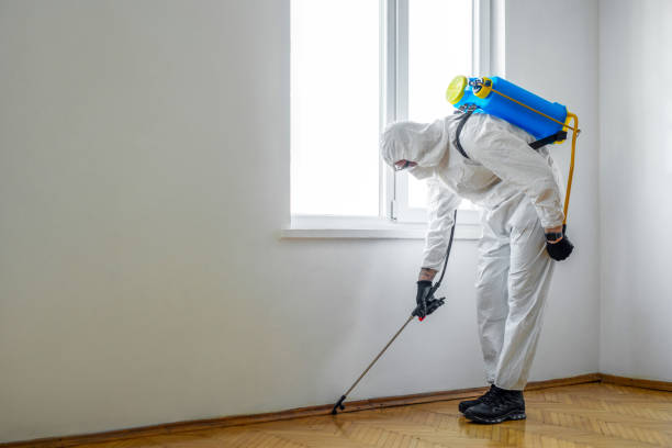 Best Exterminator Services  in Giddings, TX