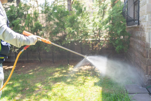 Best Insect Control  in Giddings, TX