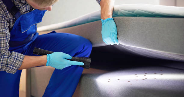 Best Commercial Pest Control Services  in Giddings, TX