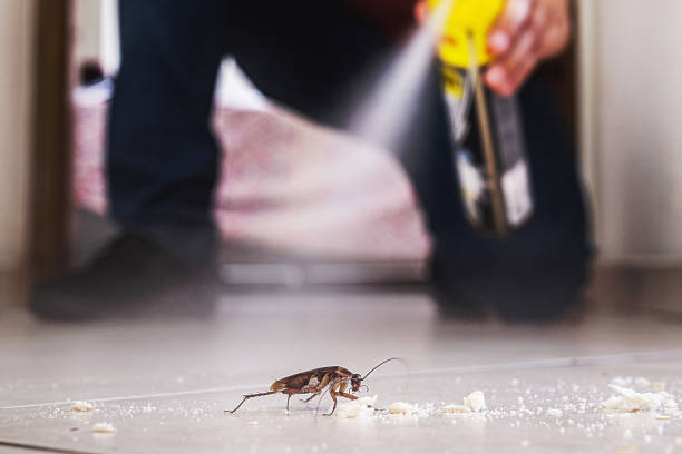 Best Pest Control for Businesses  in Giddings, TX