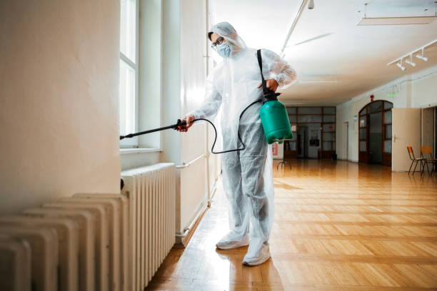 Best Local Pest Control Services  in Giddings, TX