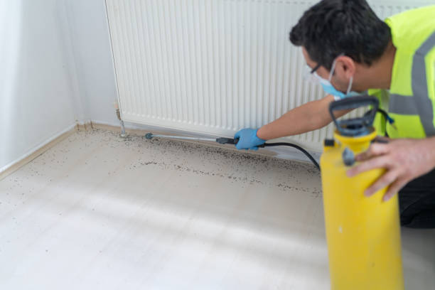 Best Affordable Pest Control Services  in Giddings, TX